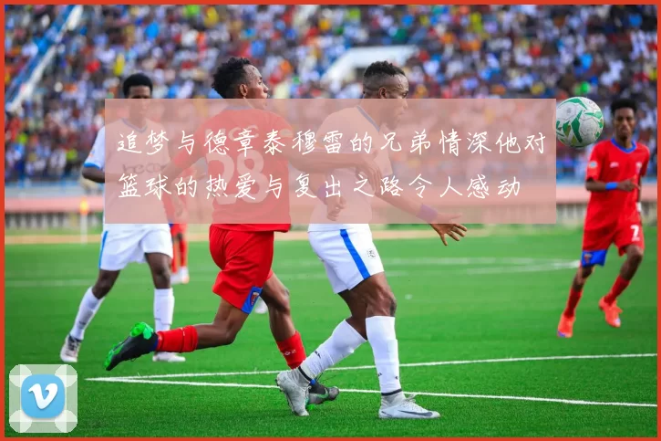 追梦与德章泰穆雷的兄弟情深他对篮球的热爱与复出之路令人感动
