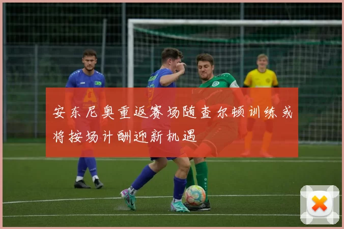 安东尼奥重返赛场随查尔顿训练或将按场计酬迎新机遇